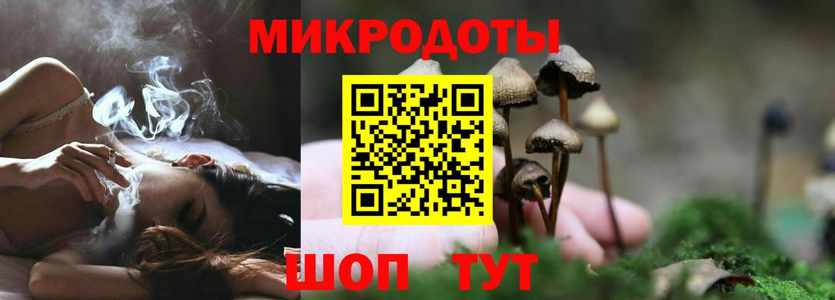 наркотики  Вход с VPN  Ревда  Галлюциногенные грибы Cubensis 